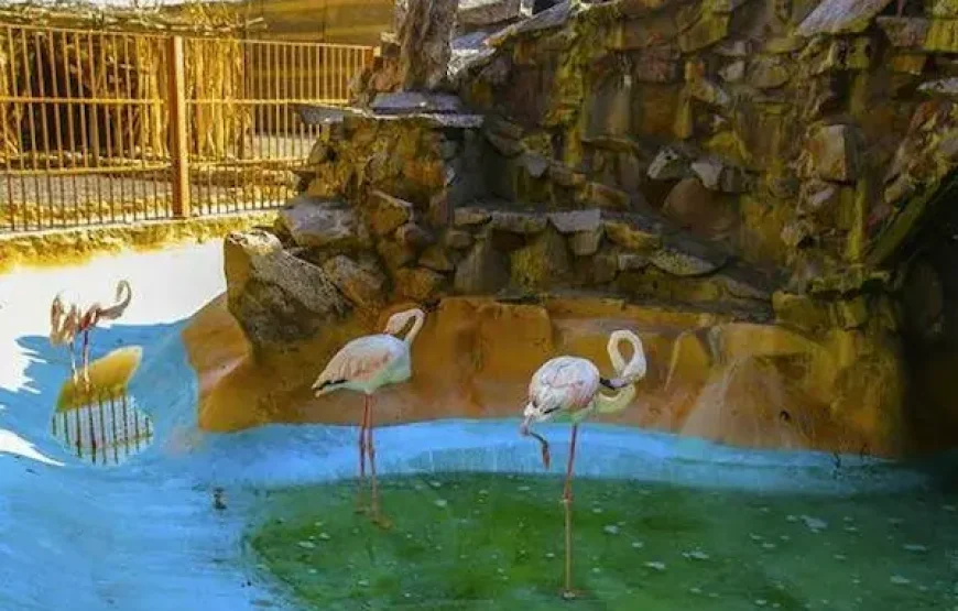 Hurghada Grand Aquarium