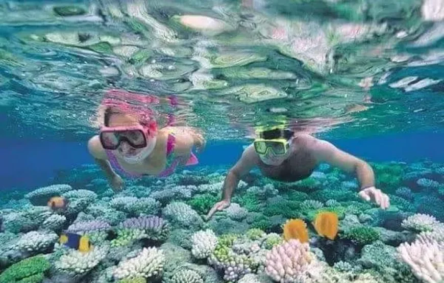 Sea Scope Glass Boat