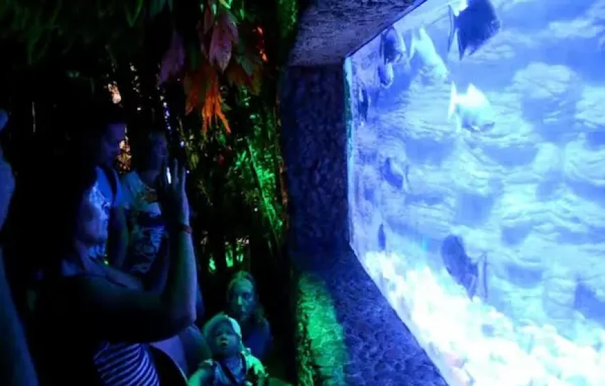 Hurghada Grand Aquarium