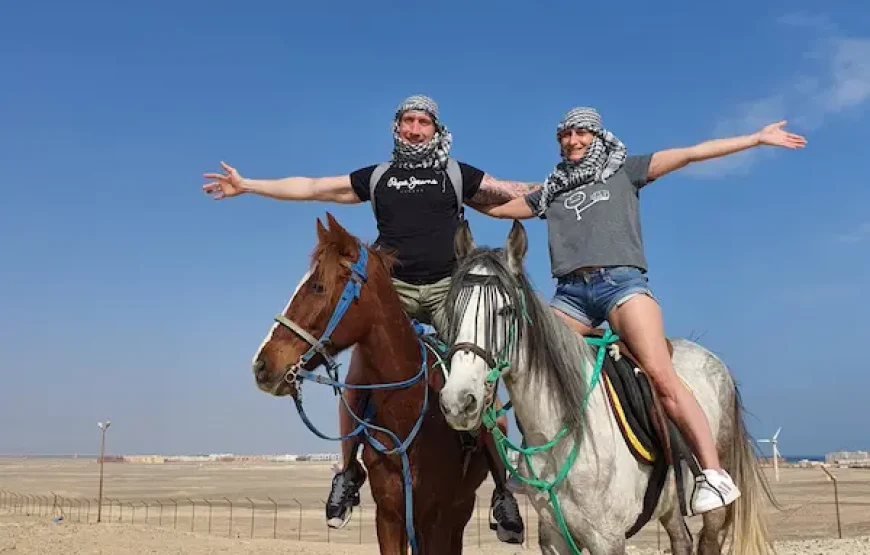 HURGHADA HORSE AND CAMEL RIDING