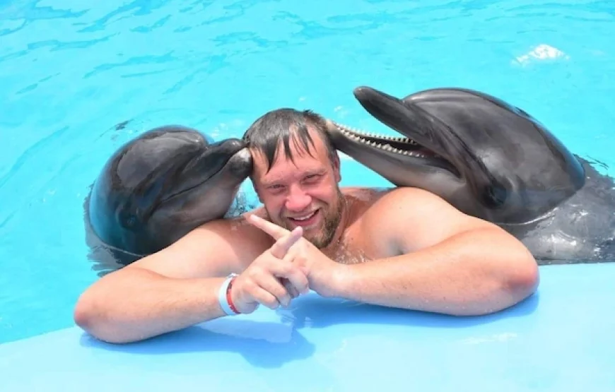 Dolphin Show