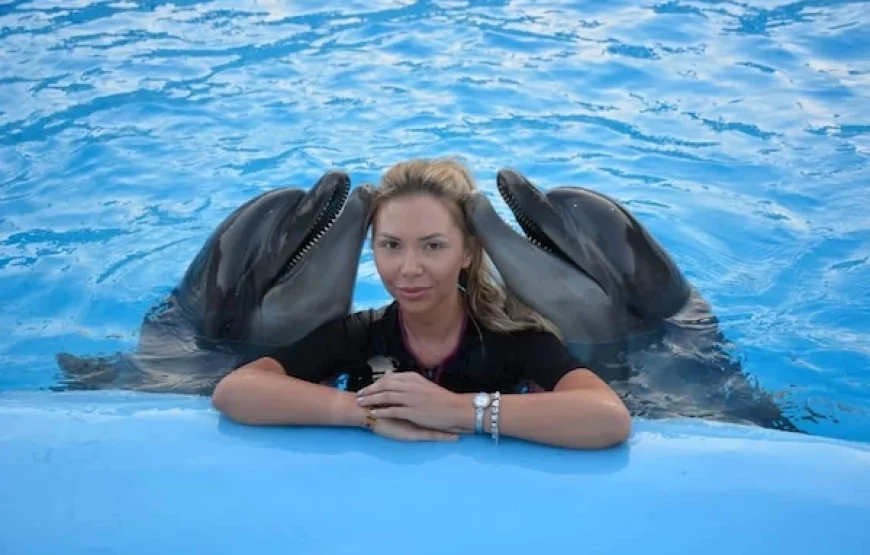 Dolphin Show