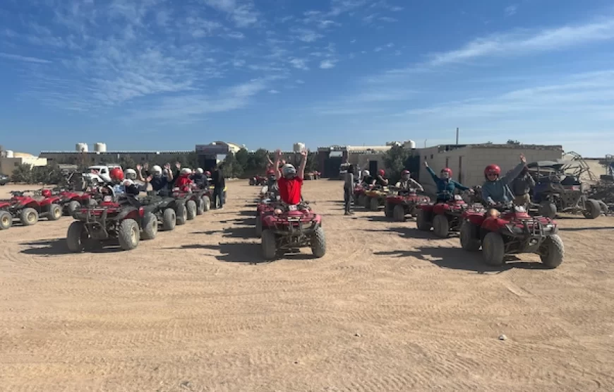 Hurghada Quad Safari Groups & Private