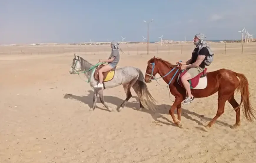 HURGHADA HORSE AND CAMEL RIDING