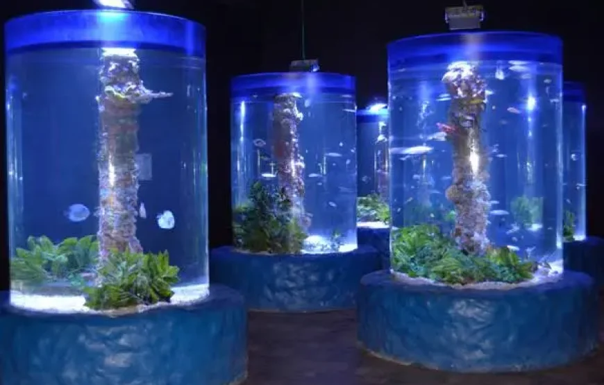 Hurghada Grand Aquarium