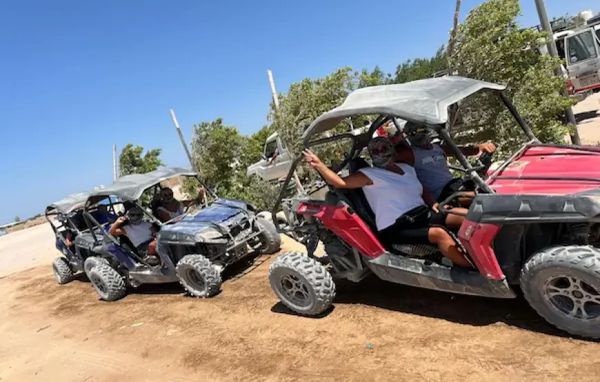 DESERT BUGGY