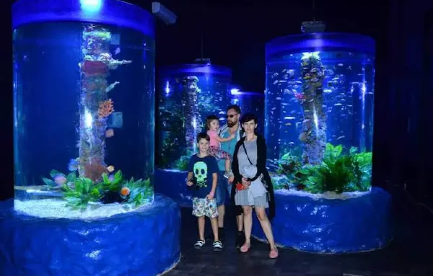 Hurghada Grand Aquarium