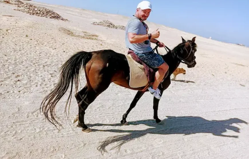 HURGHADA HORSE AND CAMEL RIDING