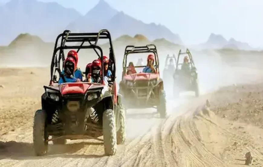 DESERT BUGGY